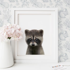 Baby Raccoon Print, Woodland Nursery Decor, Printable Baby Animal Wall Art, Kids Room Decor, DIGITAL DOWNLOAD image 3