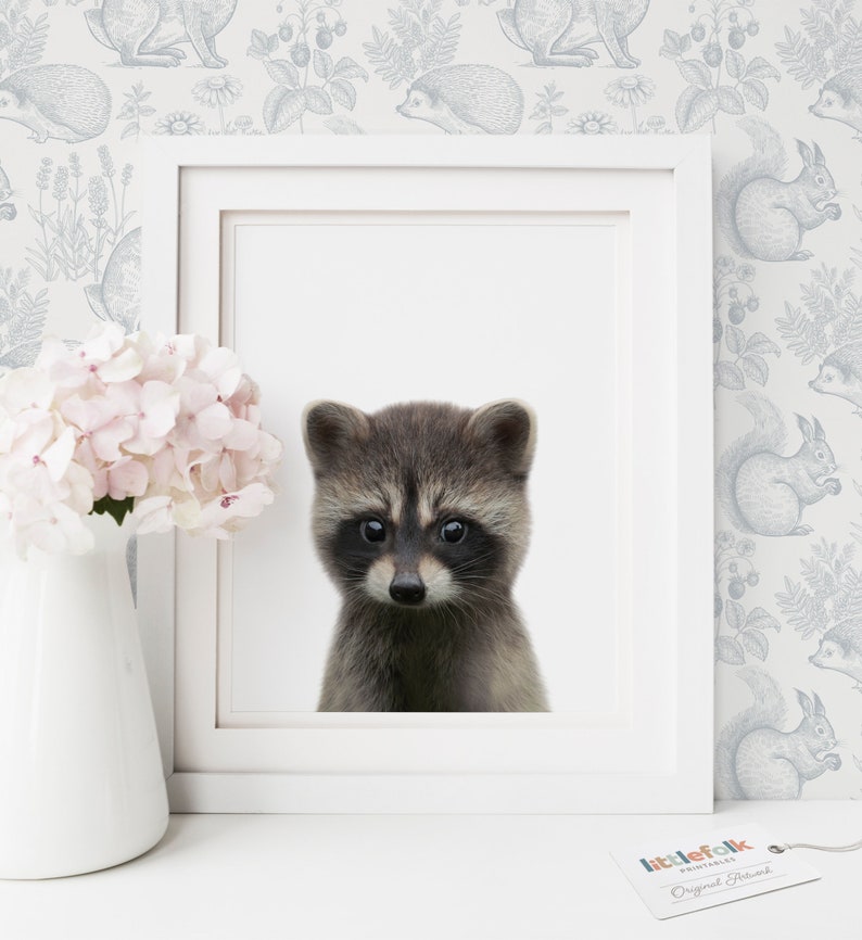 Baby Raccoon Print, Woodland Nursery Decor, Printable Baby Animal Wall Art, Kids Room Decor, DIGITAL DOWNLOAD image 3