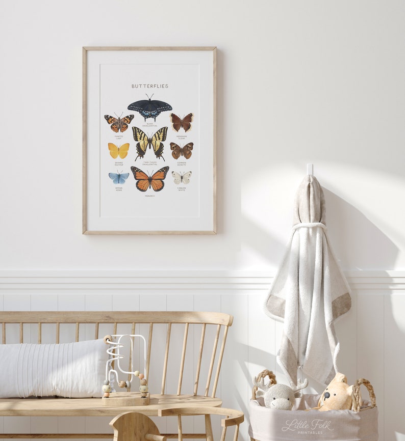May include: A framed print with a white background and the word "Butterflies" in black text at the top. The print features illustrations of nine different butterflies with their names listed below each butterfly.