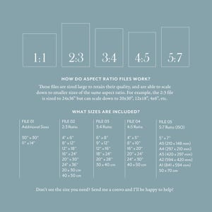 Pu&ograve; includere: Grafica turchese con esempi di proporzioni e tabelle delle taglie. Include dimensioni come 30" x 30", 11" x 14", 10 x 15 cm, 20 x 30 cm e A5 (210 x 148 mm). Il testo spiega come funzionano i file di proporzioni.