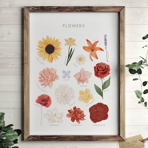 Educatieve bloemenposter, bloemenprint, afdrukbare muurkunst, decor Montessori Homeschool, decor natuurklas, digitale DOWNLOAD