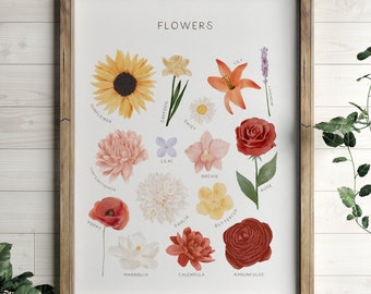 Educational Flowers Poster, Flower Print, Printable Wall Art, Montessori Homeschool Decor, Nature Classroom Decor, DIGITAL DOWNLOAD