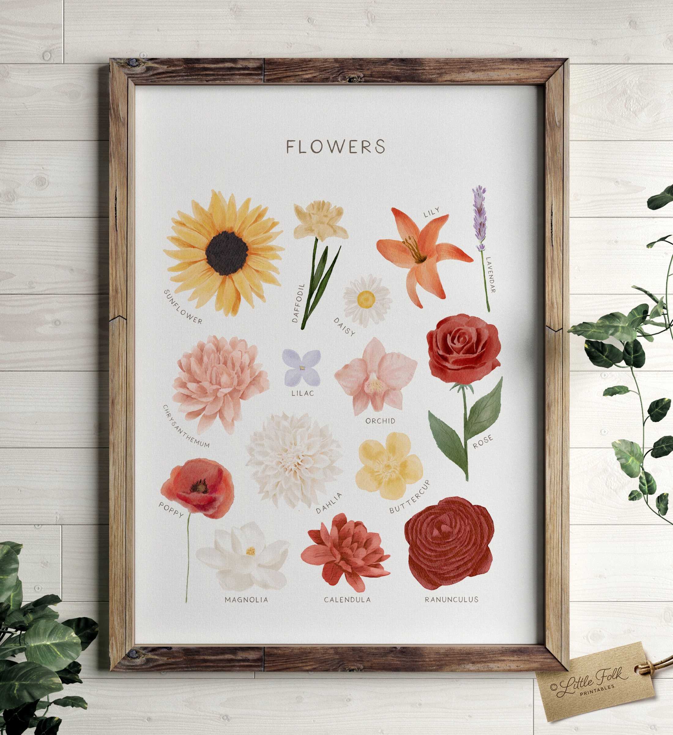 Educational Flowers Poster, Flower Print, Printable Wall Art