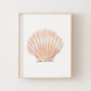 Sea Shell Print, Beach Nursery Decor, PRINTABLE Watercolor Sea Shell Wall Art, Coastal Home Decor, DIGITAL DOWNLOAD image 1