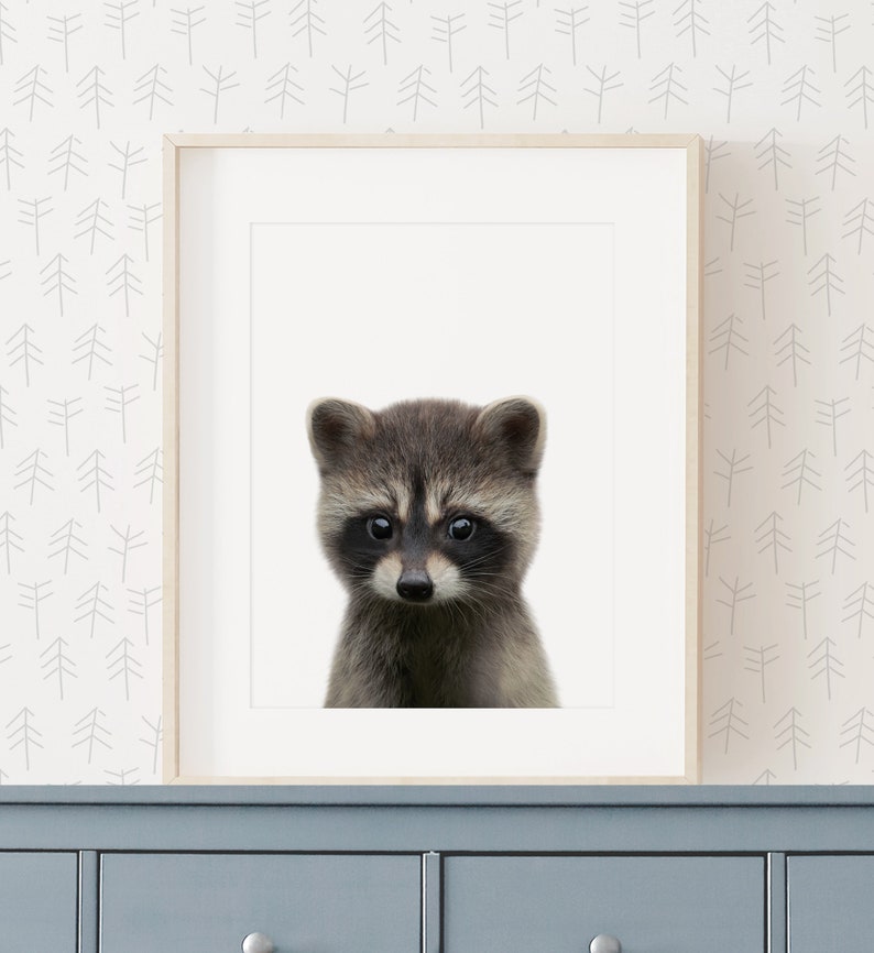 Baby Raccoon Print, Woodland Nursery Decor, Printable Baby Animal Wall Art, Kids Room Decor, DIGITAL DOWNLOAD image 2