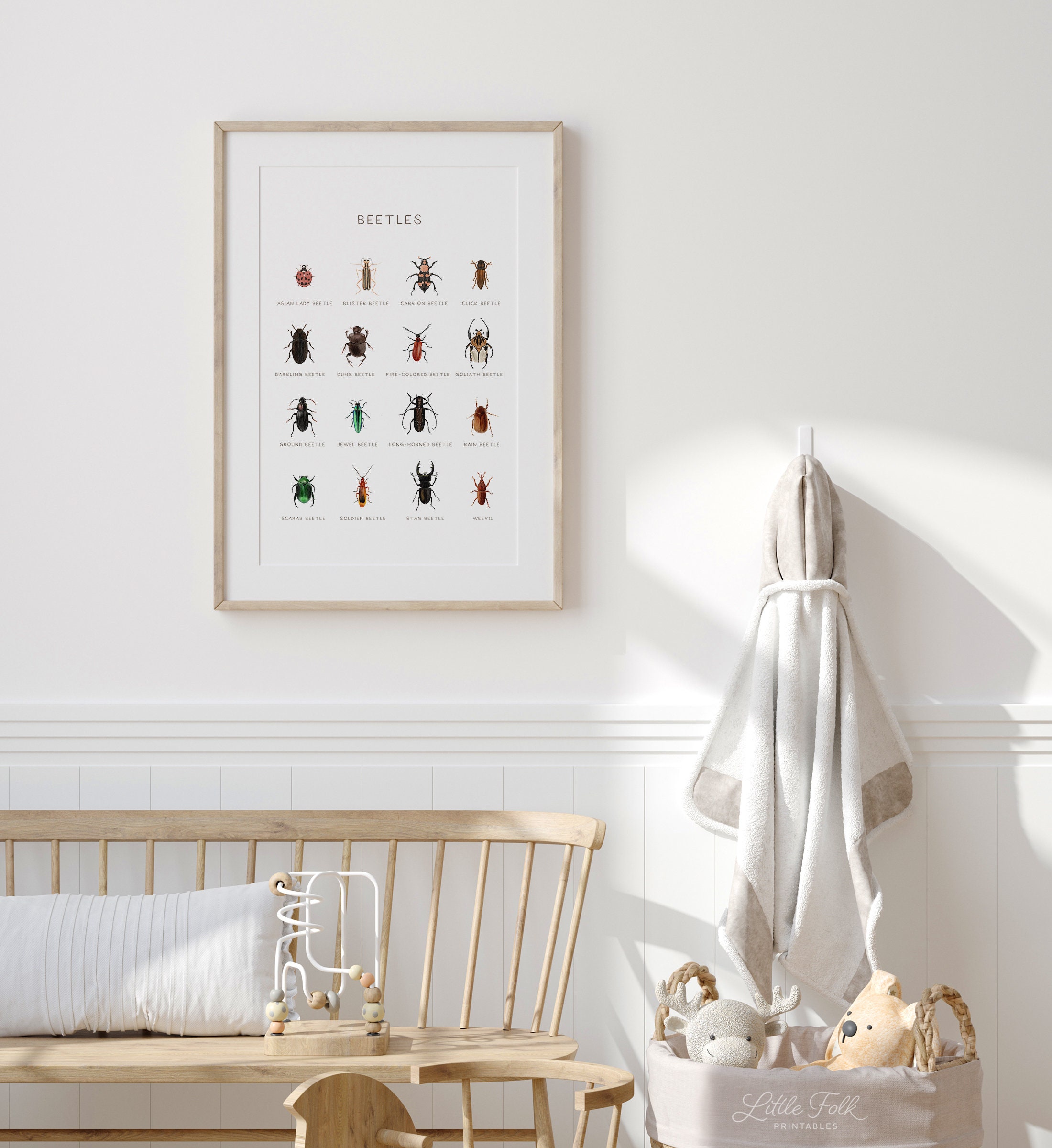 Beetle Species Poster Educational Bug Print Printable Wall - Etsy
