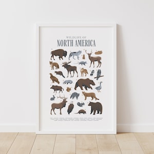 Tiere von Nordamerika Poster, druckbare Wandkunst, Wald Kinderzimmer Dekor, Kinderzimmer Dekor, Wald Tiere Poster, DIGITAL DOWNLOAD