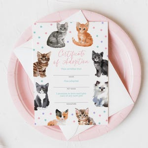 Editable Kitten Adoption Certificate Template, Printable Kitty Cat Birthday Adoption Certificate and Sign, DIGITAL DOWNLOAD