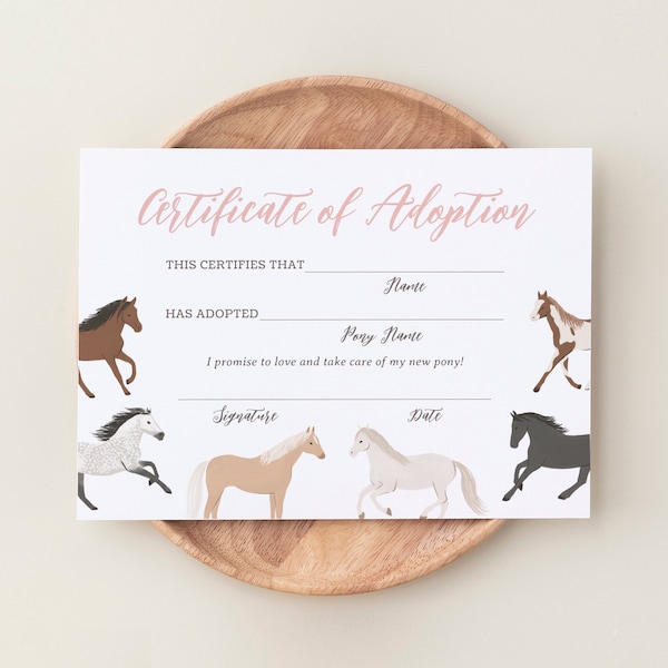 Editable Pony Adoption Certificate Template, Printable Horse Birthday Adoption Certificate and Sign, DIGITAL DOWNLOAD