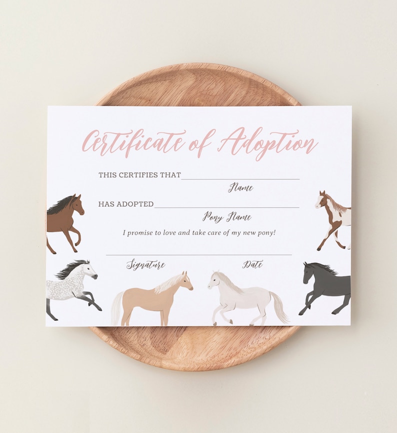 May include: A printable certificate of adoption for a pony. The certificate has lines for the adopter's name, the pony's name, a signature, and a date. The certificate is decorated with illustrations of ponies.