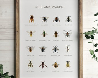 Póster educativo de insectos, impresión de abejas y avispas, arte mural imprimible, decoración Montessori para el hogar, decoración natural para el aula, descarga digital