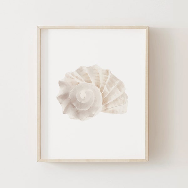 Sea Shell Print, Beach Nursery Decor, PRINTABLE Watercolor Sea Shell Wall Art, Coastal Home Decor, DIGITAL DOWNLOAD