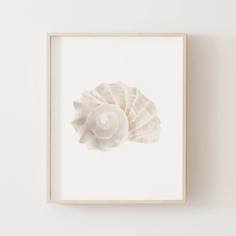 Sea Shell Print - Etsy