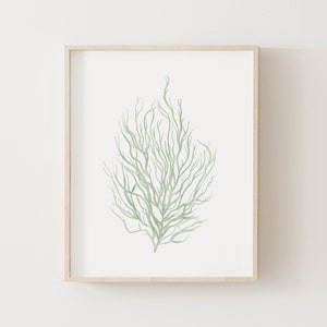 Watercolor Seaweed Print, Beach Nursery Decor, PRINTABLE Wall Art, Coastal Home Decor, DIGITAL DOWNLOAD