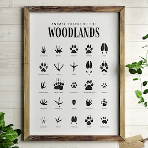 Impresión de huellas de animales, decoración de guardería con temática de bosque, arte de pared imprimible, decoración de habitación de niños, póster para habitación de niños, DESCARGA DIGITAL