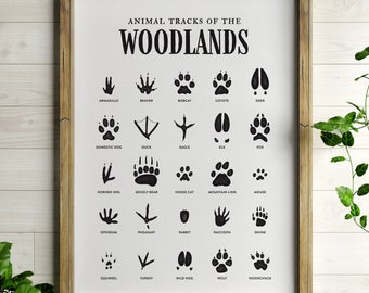 Animal Tracks Print, Woodland Nursery Decor, Printable Wall Art, Boys Room Decor, Kids Room Poster, DIGITAL DOWNLOAD