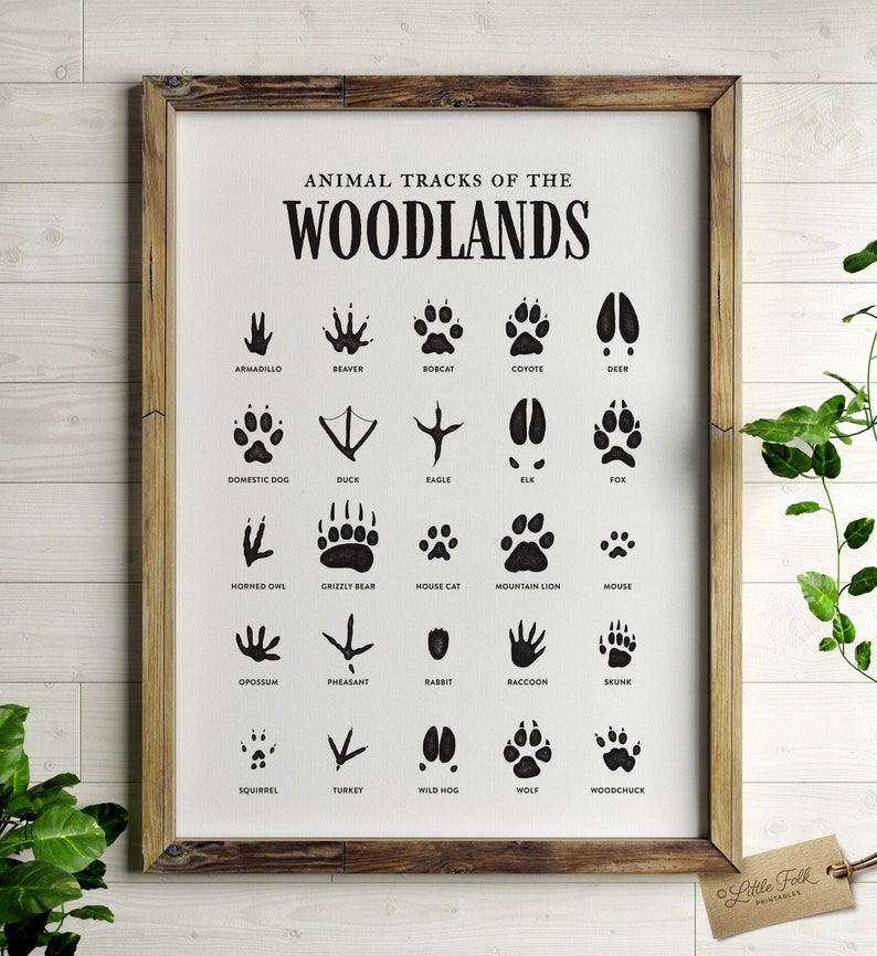 Animal Tracks Print, Printable Wall Art, Woodland Nursery Decor, Rustic Decor, Outdoor Adventure Kids Art, DIGITAL DOWNLOAD 