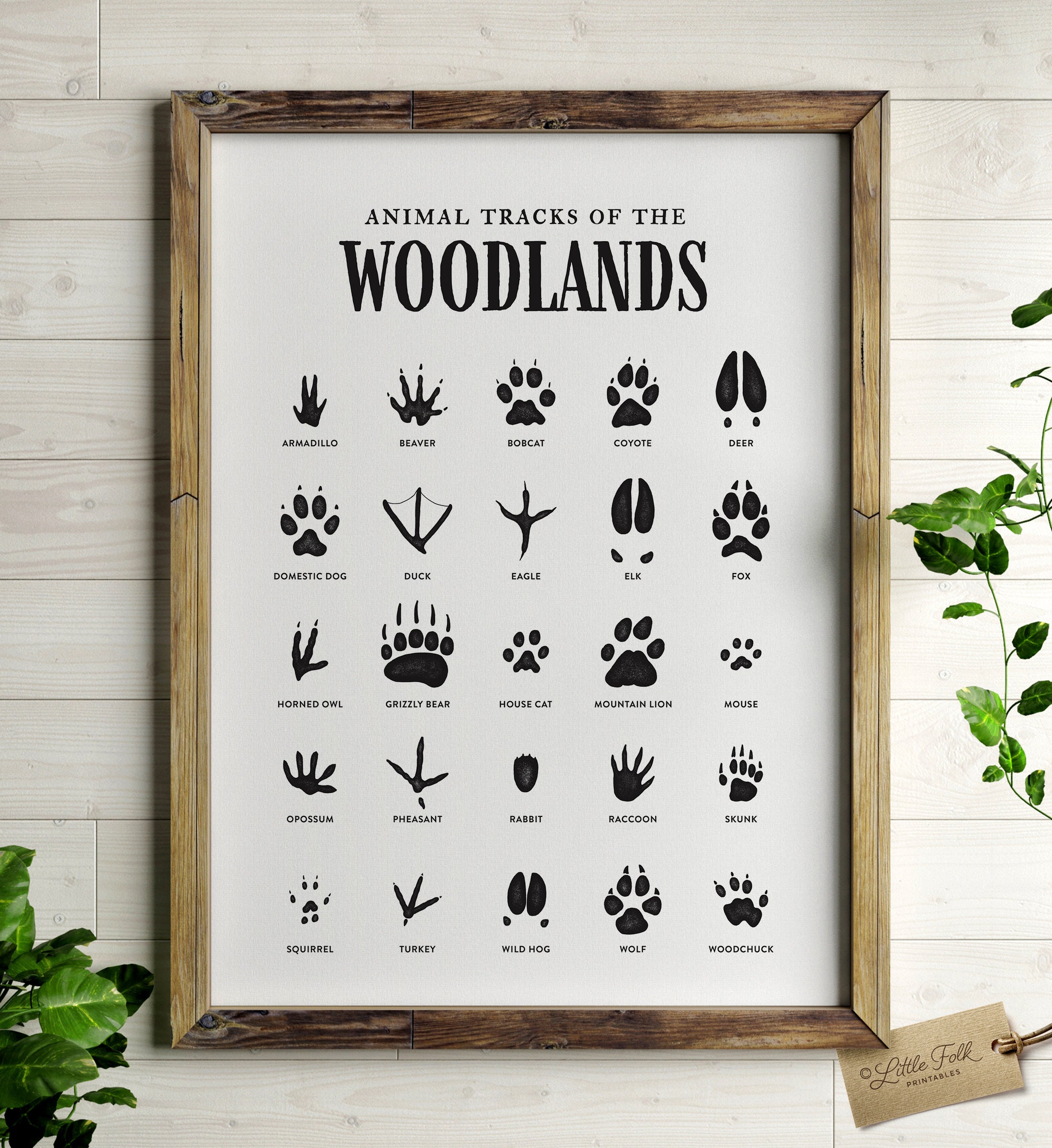 Kiks Regn gallon Animal Tracks Print Woodland Nursery Decor Printable Wall - Etsy