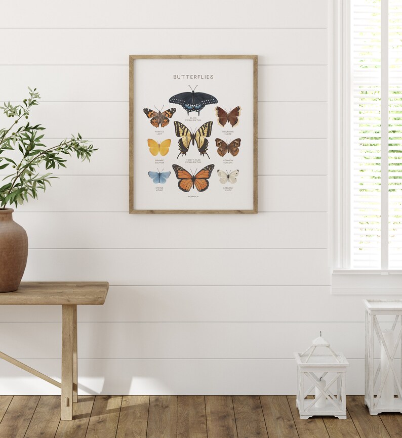 May include: A framed print with the word "Butterflies" at the top and illustrations of different butterflies with their names underneath each image.