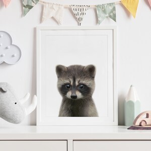 Baby Raccoon Print, Woodland Nursery Decor, Printable Baby Animal Wall Art, Kids Room Decor, DIGITAL DOWNLOAD image 5