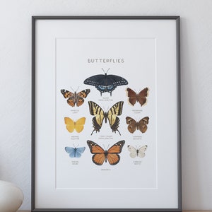 May include: A printable poster featuring a collection of butterflies with their names. The butterflies are illustrated in watercolor and include the Black Swallowtail, Painted Lady, Orange Sulphur, Two-Tailed Swallowtail, Mourning Cloak, Common Buckeye, Spring Azure, Cabbage White, and Monarch.