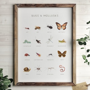 Käfer Poster, Insekten Druck, druckbare Wandkunst, Montessori Homeschool Dekor, Natur Klassenzimmer Dekor, DIGITAL DOWNLOAD