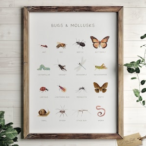 Educational Bugs Poster, Insects Print, Printable Wall Art, Montessori Homeschool Decor, Nature Classroom Decor, DIGITAL DOWNLOAD