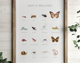Educational Bugs Poster, Insects Print, Printable Wall Art, Montessori Homeschool Decor, Nature Classroom Decor, DIGITAL DOWNLOAD