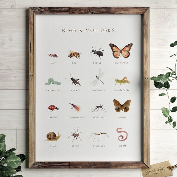 Educational Bugs Poster, Insects Print, Printable Wall Art, Montessori Homeschool Decor, Nature Classroom Decor, DIGITAL DOWNLOAD