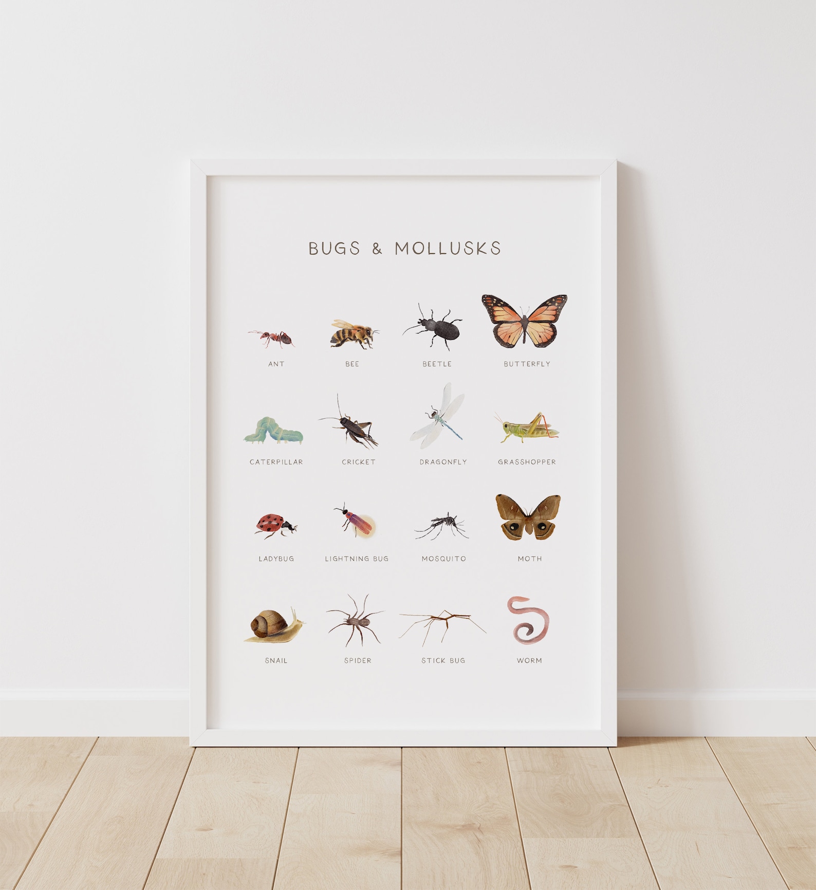 Educational Bugs Poster Insects Print Printable Wall Art Etsy