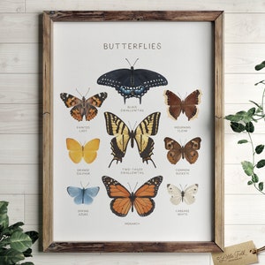 Educatieve vlinderposter, vlindergrafiek, afdrukbare muurkunst, decor Montessori Homeschool, decor natuurklas, digitale DOWNLOAD
