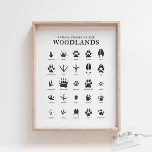Tierspuren Print, Wald Kinderzimmer Dekor, druckbare Wandkunst, Jungen Zimmer Dekor, Kinderzimmer Poster, DIGITAL DOWNLOAD