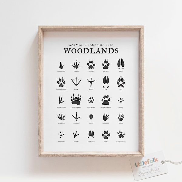 Animal Tracks - Etsy