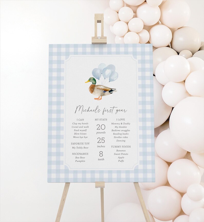 May include: A light blue and white gingham sign on an easel, featuring a watercolor illustration of a duck with balloons. The sign displays information about "Michael's first year", including stats like 20 pounds and 25 inches.