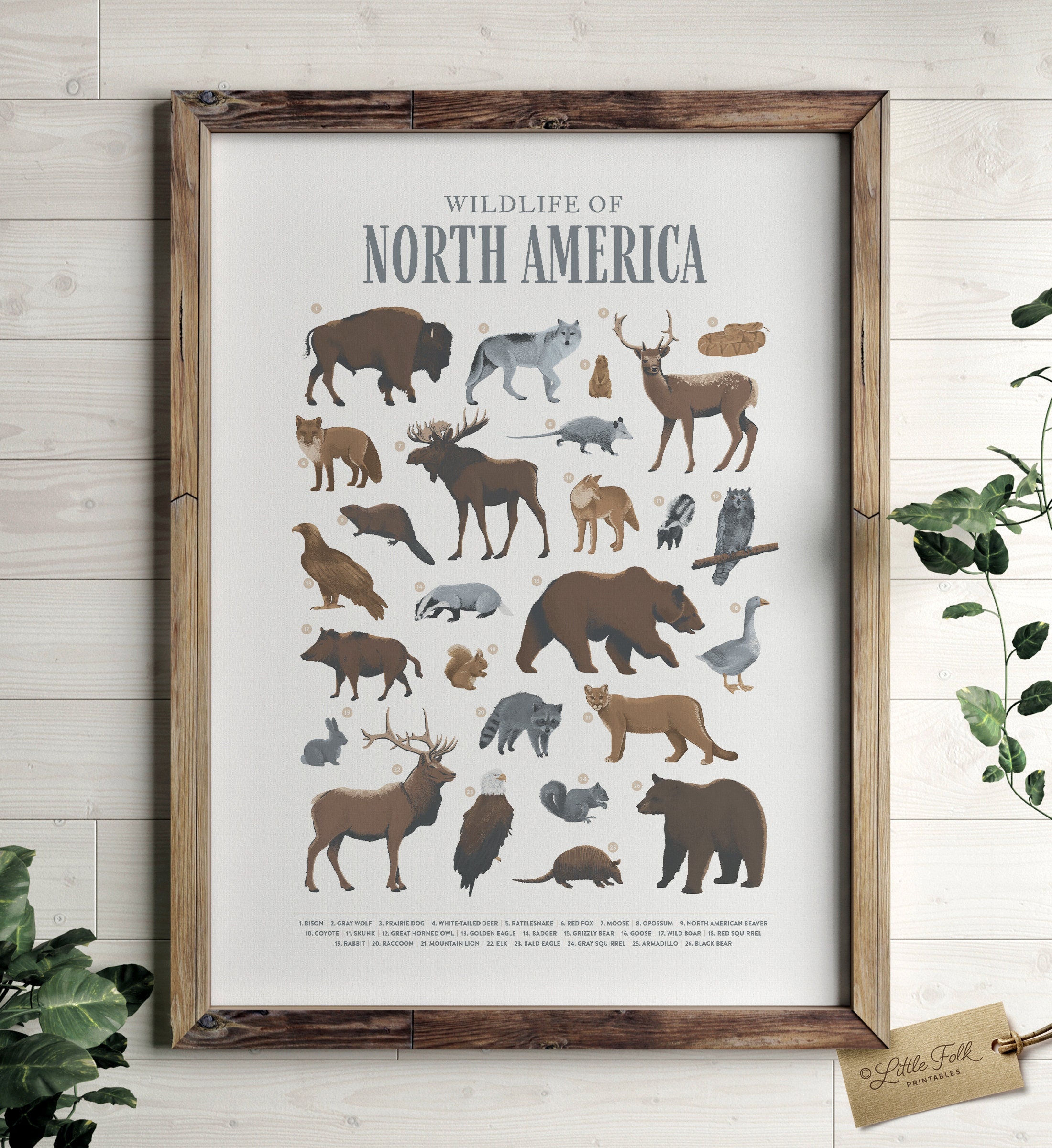 North American Wildlife Poster