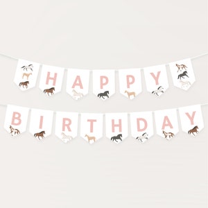 May include: A white banner with pink letters spelling "Happy Birthday" with a horse illustration on each flag.