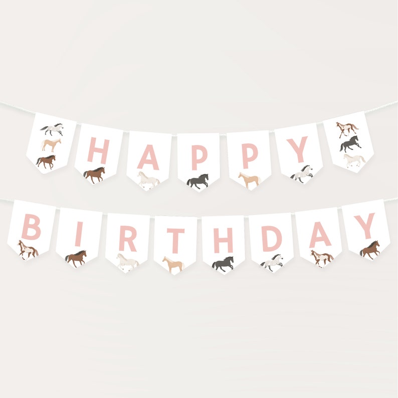 May include: A white banner with pink letters spelling "Happy Birthday" with a horse illustration on each flag.