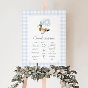May include: A baby's first year sign with a watercolor duck illustration and blue balloons. The sign includes the baby's stats: 20 pounds, 25 inches, and 8 teeth. The sign is on a light blue gingham background.