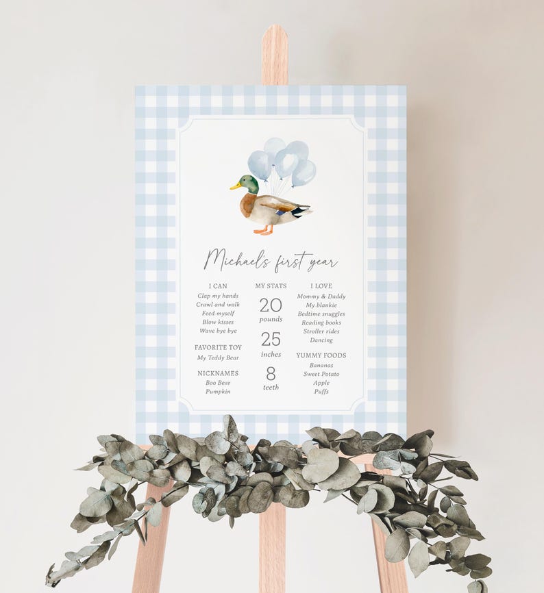 May include: A baby's first year sign with a watercolor duck illustration and blue balloons. The sign includes the baby's stats: 20 pounds, 25 inches, and 8 teeth. The sign is on a light blue gingham background.