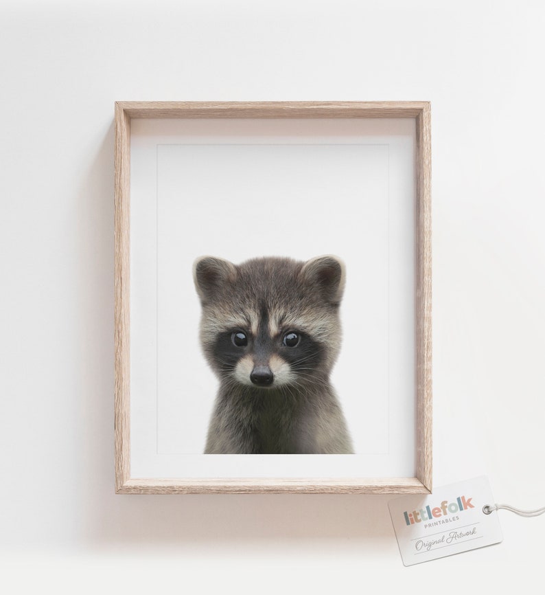 Baby Raccoon Print, Woodland Nursery Decor, Printable Baby Animal Wall Art, Kids Room Decor, DIGITAL DOWNLOAD image 1