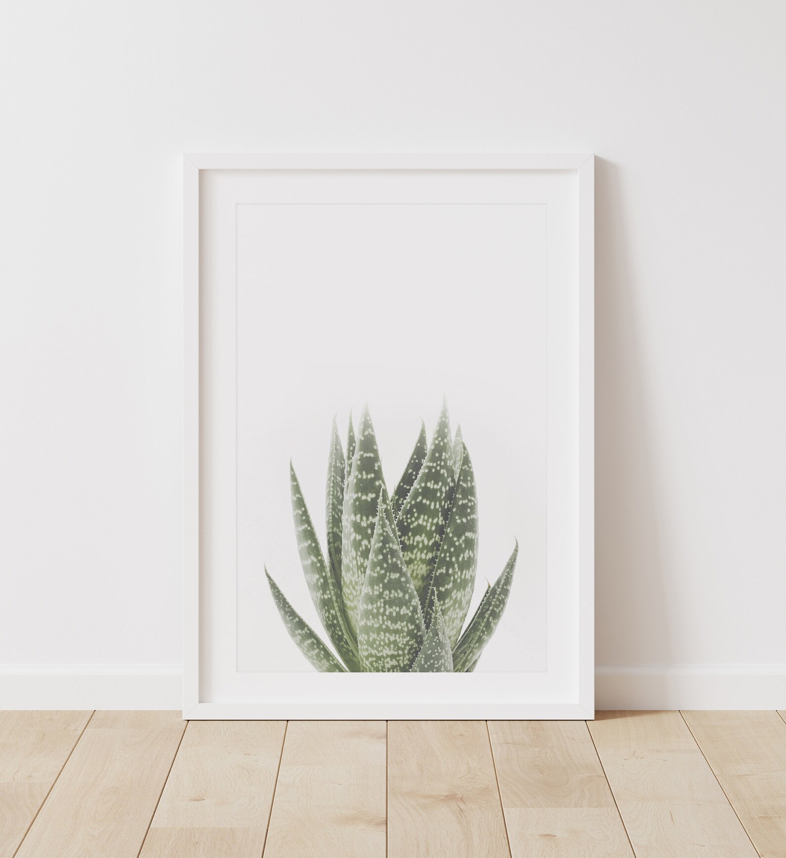 Aloe Vera Print Print Botanical Photography Printable Wall | Etsy