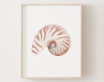 May include: A framed print of a watercolor painting of a nautilus shell. The shell is a light brown color with white stripes and is curled in a spiral shape.