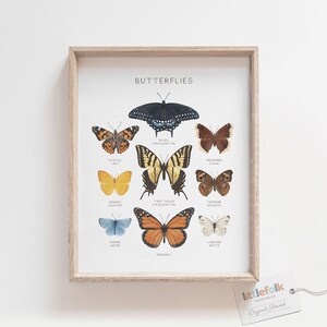 May include: A printable chart featuring illustrations of 10 different types of butterflies, including the Black Swallowtail, Painted Lady, Mourning Cloak, Orange Sulphur, Two-Tailed Swallowtail, Common Buckeye, Spring Azure, Monarch, and Cabbage White. The chart is titled "Butterflies" and includes the name of each butterfly below its illustration.