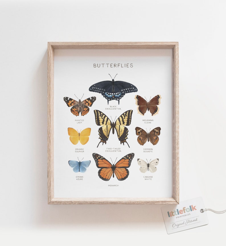 May include: A printable chart featuring illustrations of 10 different types of butterflies, including the Black Swallowtail, Painted Lady, Mourning Cloak, Orange Sulphur, Two-Tailed Swallowtail, Common Buckeye, Spring Azure, Monarch, and Cabbage White. The chart is titled "Butterflies" and includes the name of each butterfly below its illustration.