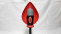 Radio Demon Extendable Mic Staff