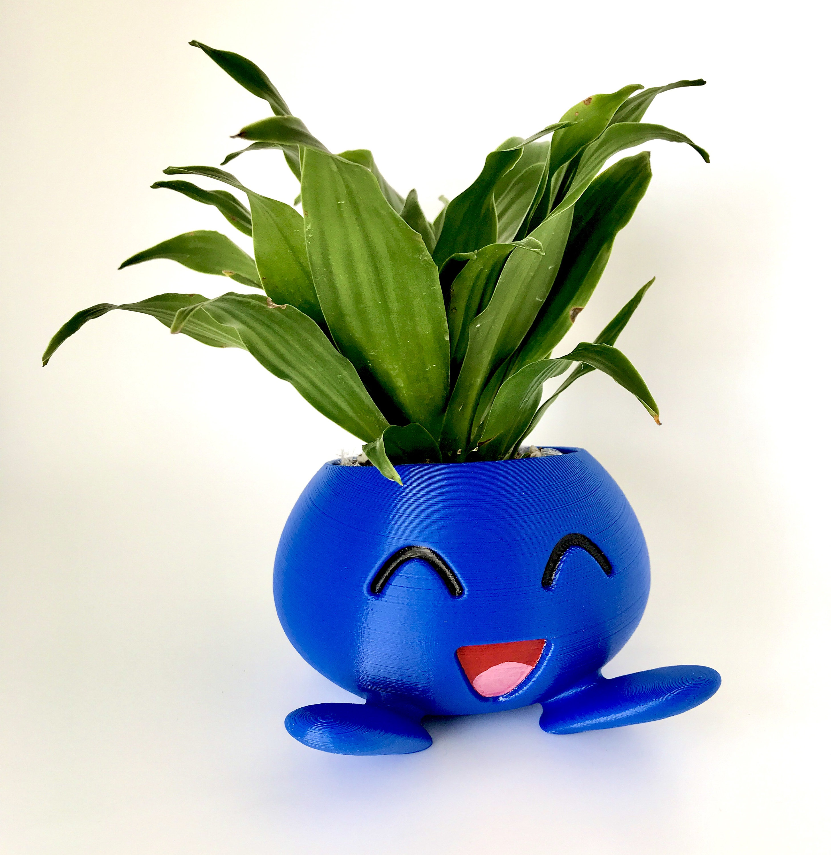 Pokemon Oddish Planter – Hand-painted PLA, Drainage Hole - Etsy