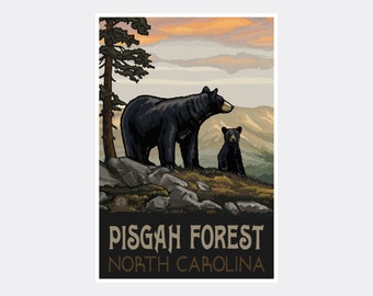 May include: A vintage-style travel poster featuring a black bear and cub standing on a rocky mountaintop. The poster has a sunset sky and the text "PISGAH FOREST NORTH CAROLINA".