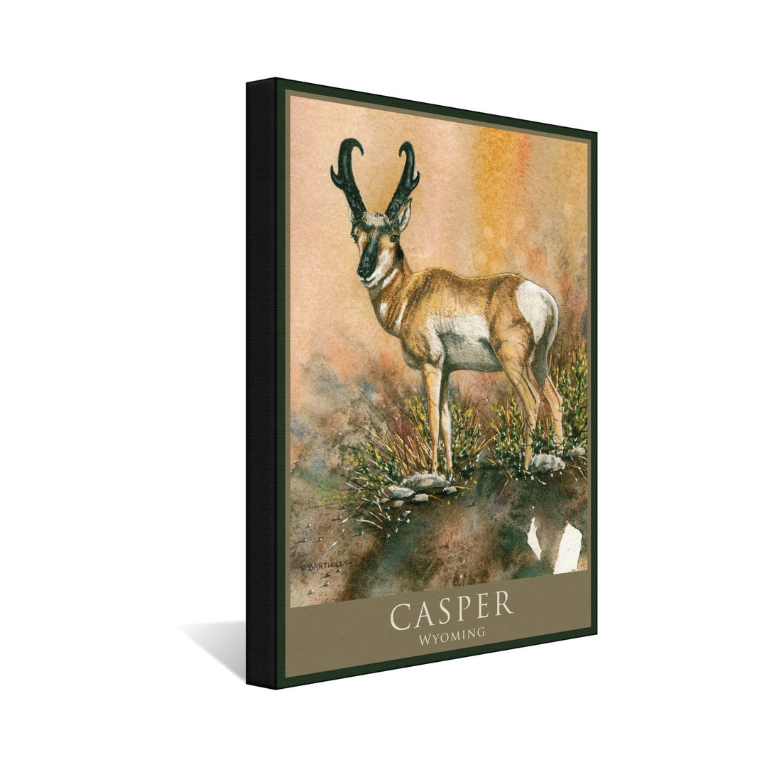 Casper Wyoming Desert Ghost Antelope Stretch Canvas Pillow Etsy
