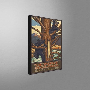 Dupont State Forest North Carolina Two Bear Cubs Stretch Canvas, Pillow, Blanket from Travel Artwork by Artist Paul A. Lanquist