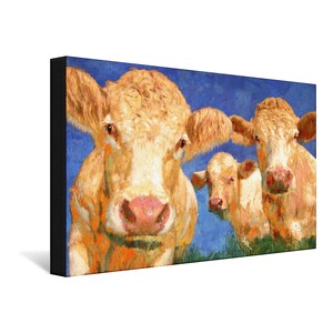 May include: Three white cows with pink noses stand in a field of green grass. The sky is a bright blue. The cow in the foreground is looking directly at the viewer.